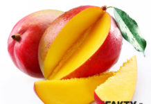 mango-faktydlazdrowia-pl