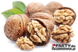 orzechy-wloskie-faktydlazdrowia-pl