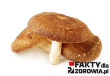 shiitake-faktydlazdrowia-pl