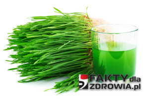 Wheatgrass juice with sprouted wheat