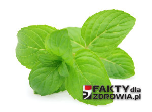 Peppermint