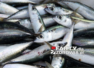 ryby i rtęć