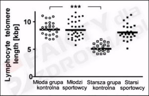 telomery u sportowców